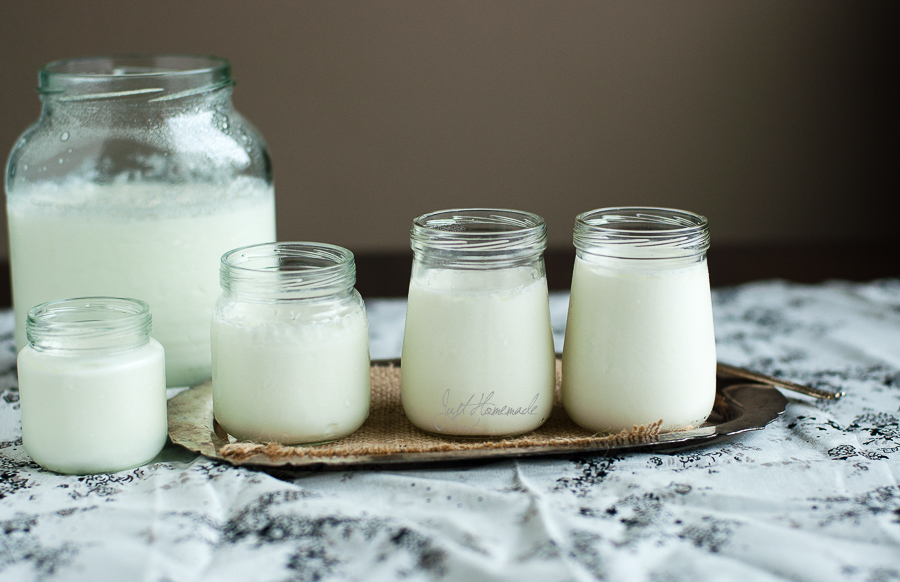 homemade yogurt in bottles